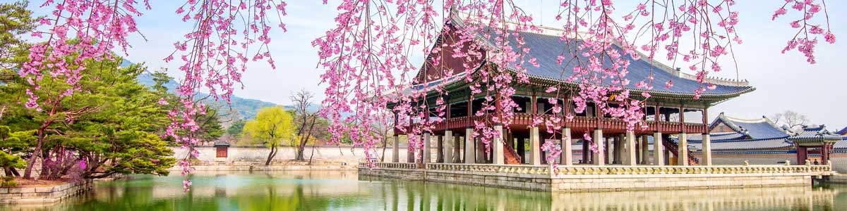 Seul & Japão saída 28 de Março 2026