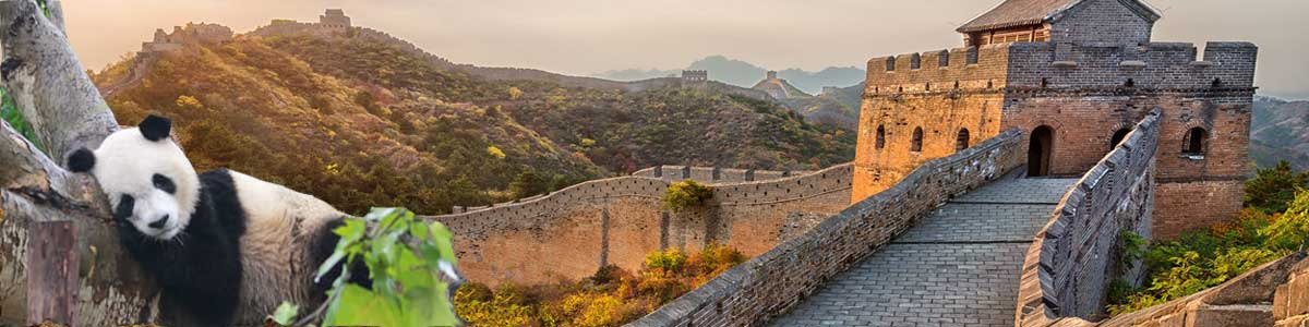 China Milenar e Tecnológica Primavera saída 16 de Maio 2026