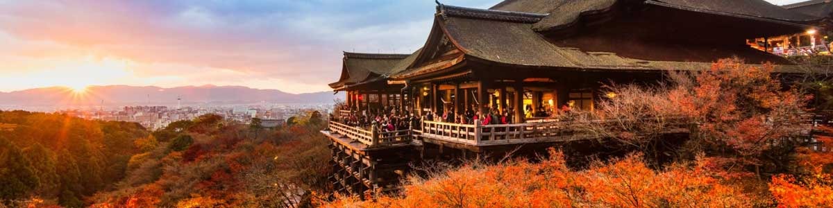 Japão Quatro Estações Outono | Saída Confirmada 22 de Novembro 2026