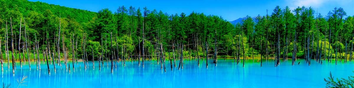 Japão Essencial com Hokkaido