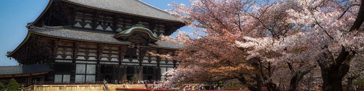 Japão Quatro Estações Sakura saída 22 de Março 2026