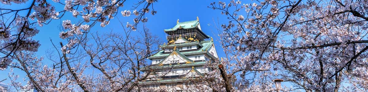Japão Quatro Estações Sakura saída 24 de Março 2026