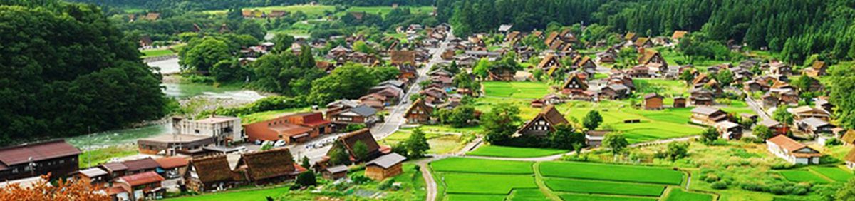 Japão Essencial com Guia Português